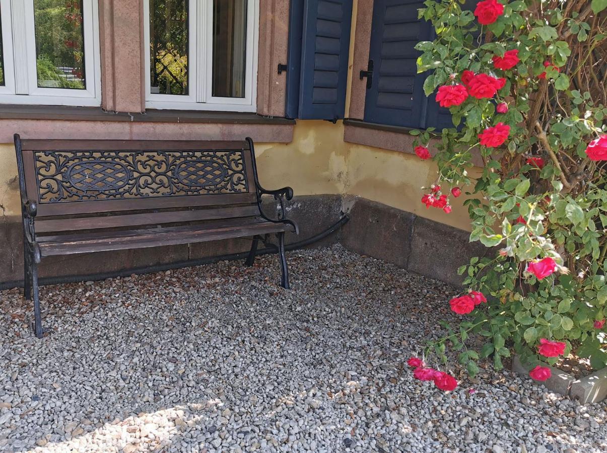 Apartment In Villa Rochlitz المظهر الخارجي الصورة